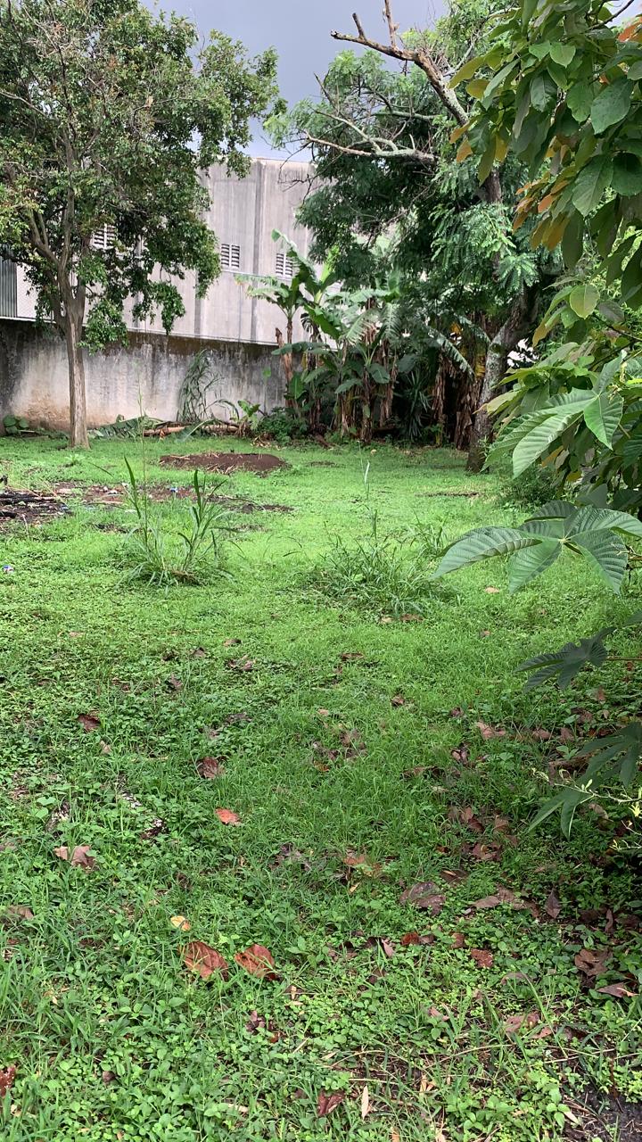 Área verde interior de la propiedad en Curridabat