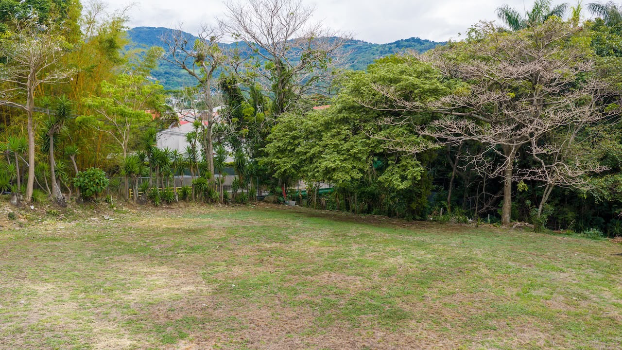 Vista a nivel de suelo del terreno plano y arbolado en San Rafael de Escazú