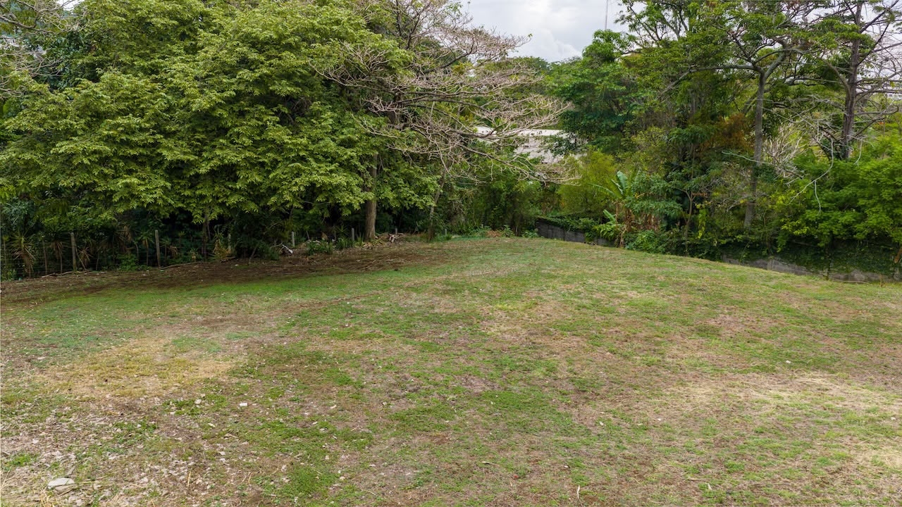 Superficie plana y arbolada de los lotes en venta en Escazú