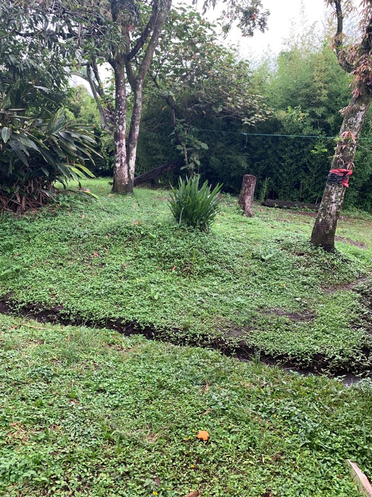 Terreno verde y arbolado de la propiedad industrial en Curridabat