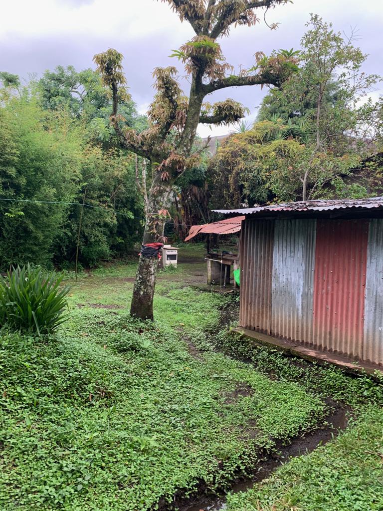 Vegetación y estructura existente en el terreno en venta en Curridabat